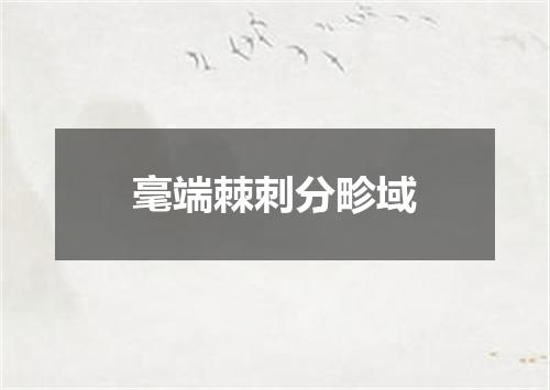 毫端棘刺分畛域