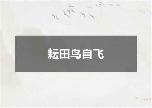 耘田鸟自飞