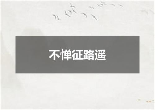 不惮征路遥
