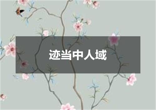 迹当中人域