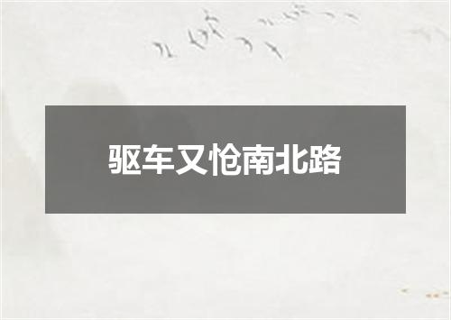 驱车又怆南北路