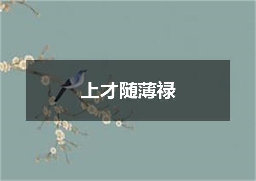 上才随薄禄