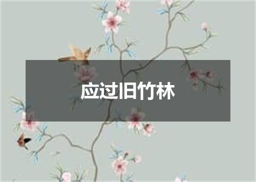 应过旧竹林