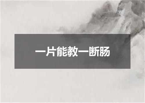 一片能教一断肠