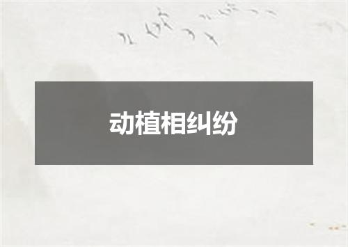 动植相纠纷