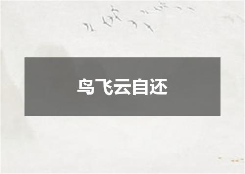 鸟飞云自还