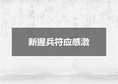 新握兵符应感激