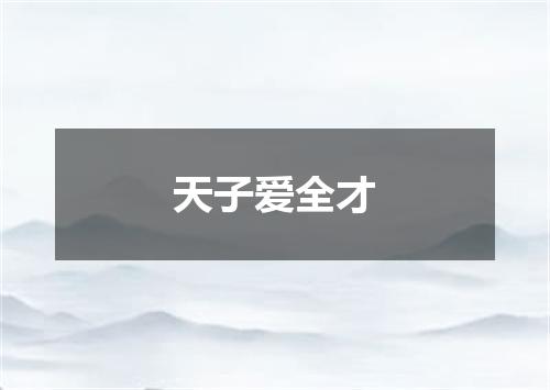 天子爱全才