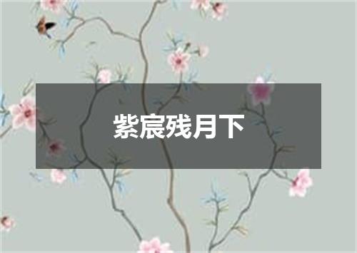 紫宸残月下
