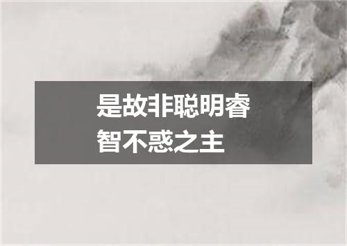 是故非聪明睿智不惑之主