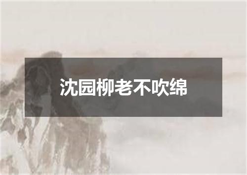 沈园柳老不吹绵
