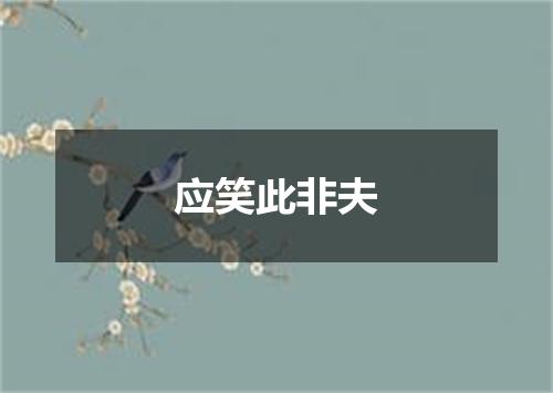 应笑此非夫
