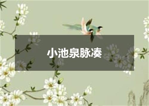 小池泉脉凑