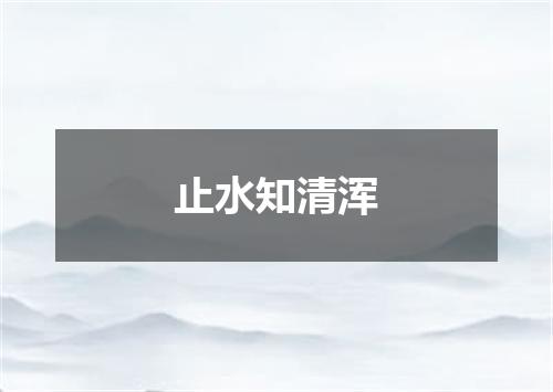 止水知清浑