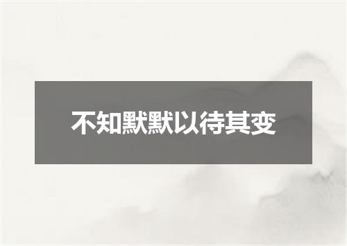 不知默默以待其变