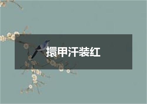 擐甲汗装红