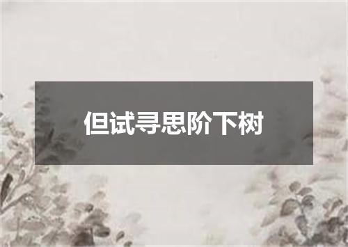 但试寻思阶下树