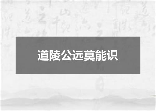 道陵公远莫能识