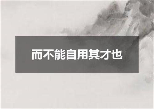 而不能自用其才也
