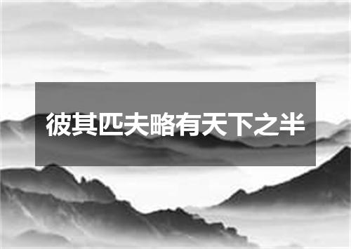 彼其匹夫略有天下之半