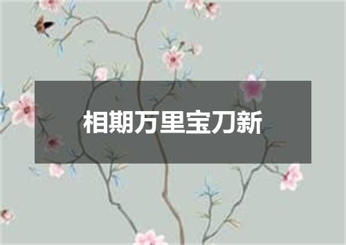 相期万里宝刀新