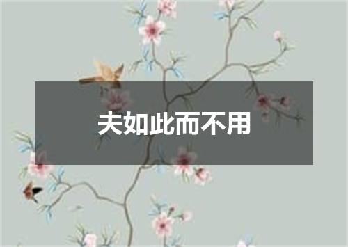 夫如此而不用