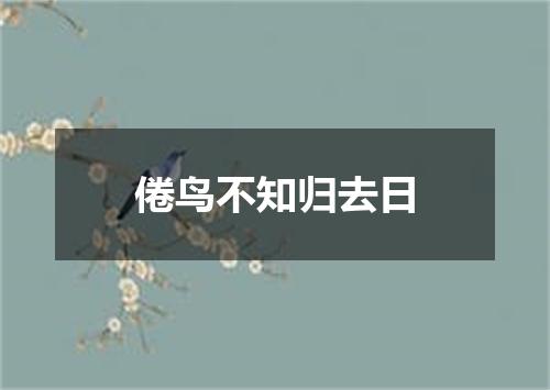 倦鸟不知归去日