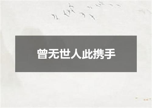 曾无世人此携手