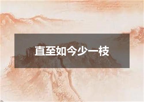 直至如今少一枝