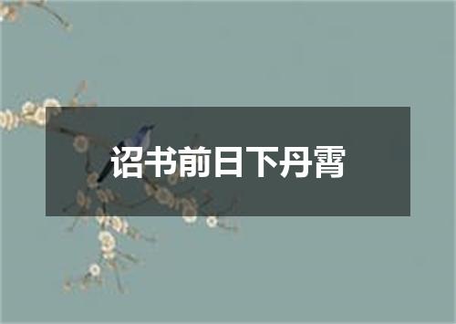诏书前日下丹霄