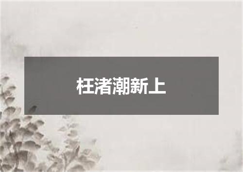 枉渚潮新上