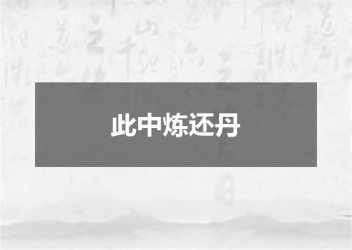 此中炼还丹