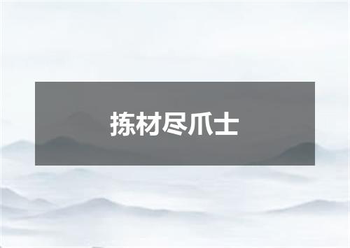 拣材尽爪士