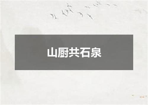 山厨共石泉