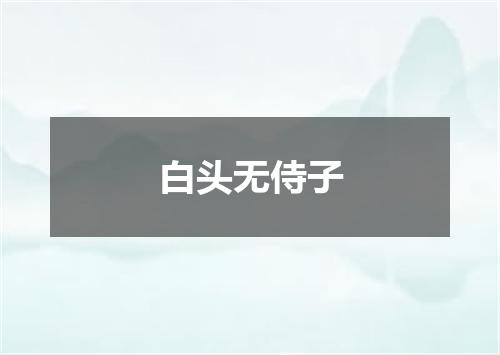 白头无侍子