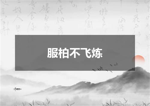 服柏不飞炼