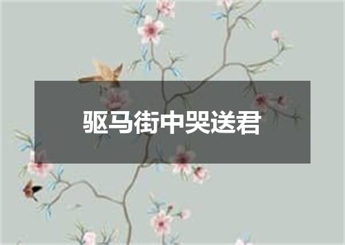驱马街中哭送君