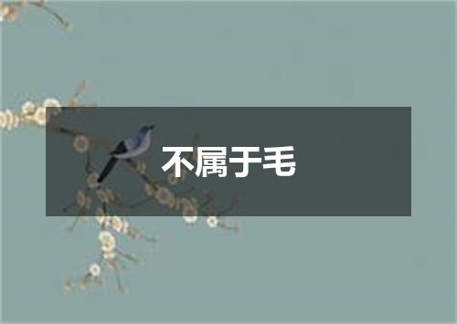 不属于毛