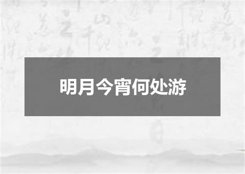 明月今宵何处游