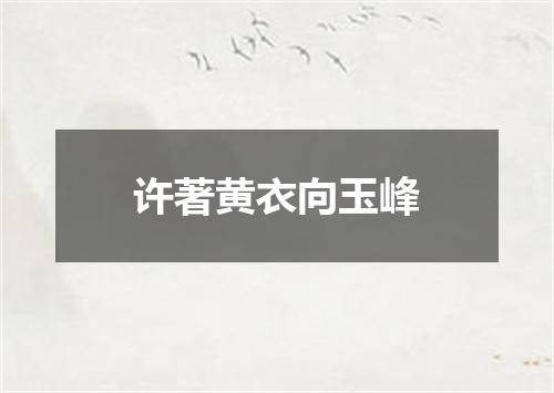 许著黄衣向玉峰