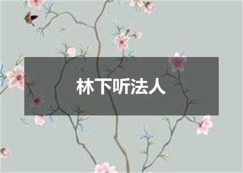 林下听法人