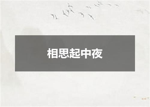 相思起中夜