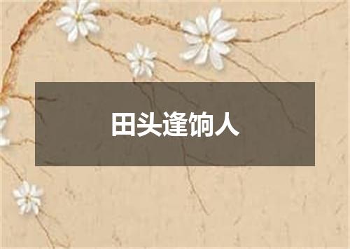 田头逢饷人