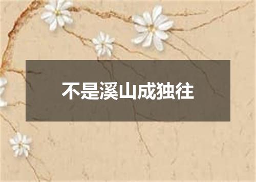 不是溪山成独往