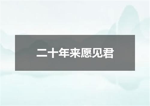 二十年来愿见君