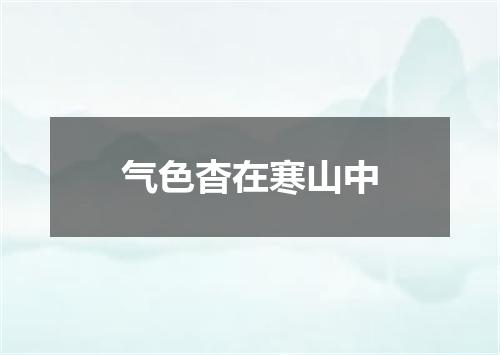 气色杳在寒山中
