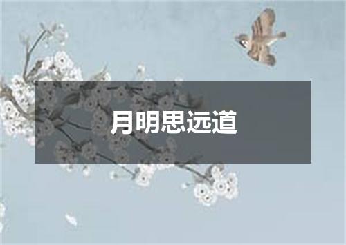 月明思远道