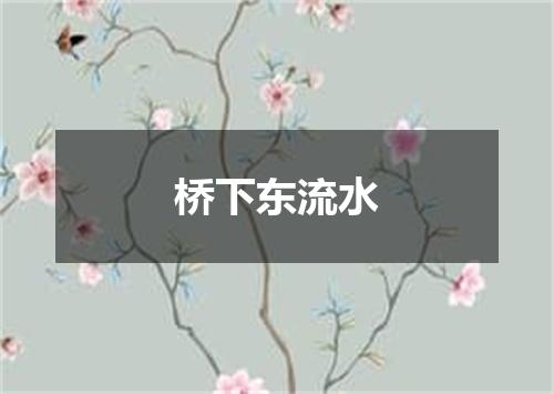 桥下东流水