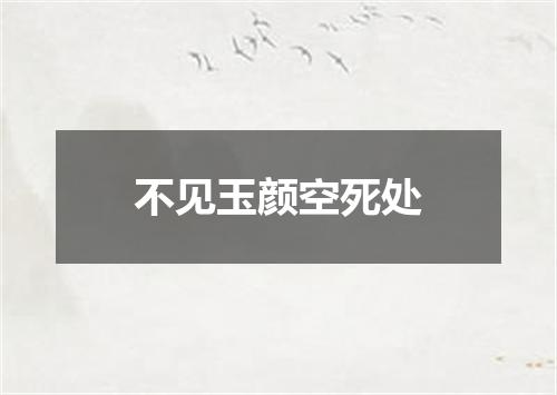 不见玉颜空死处