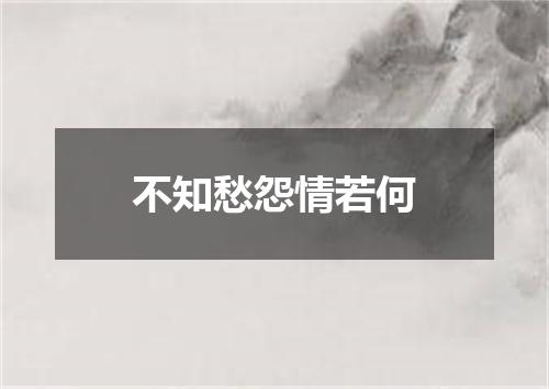 不知愁怨情若何